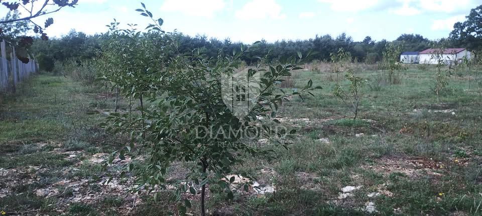 Casa situata su un ampio terreno di 10.350 metri quadrati.