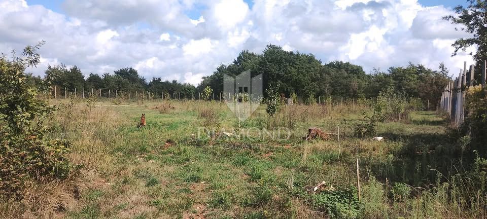 Casa situata su un ampio terreno di 10.350 metri quadrati.