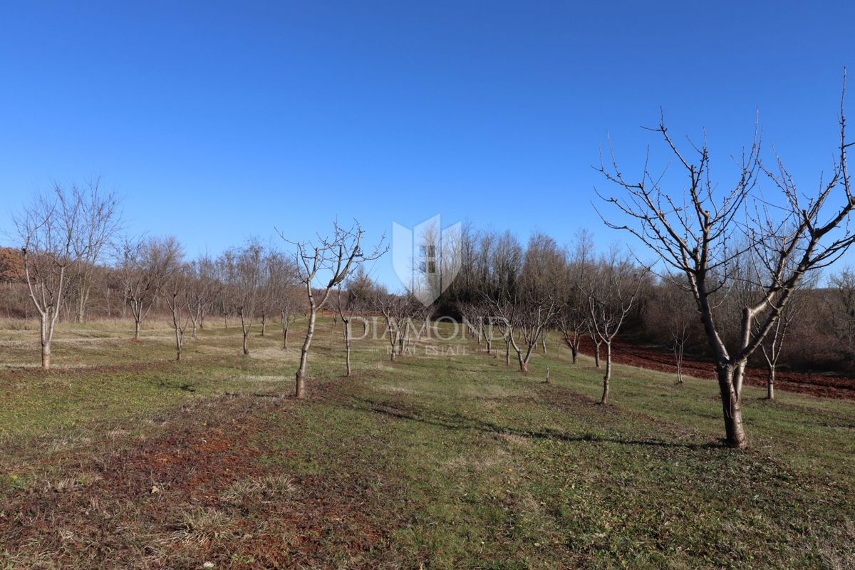 Poreč, dintorni, terreno con vista aperta immerso nella natura