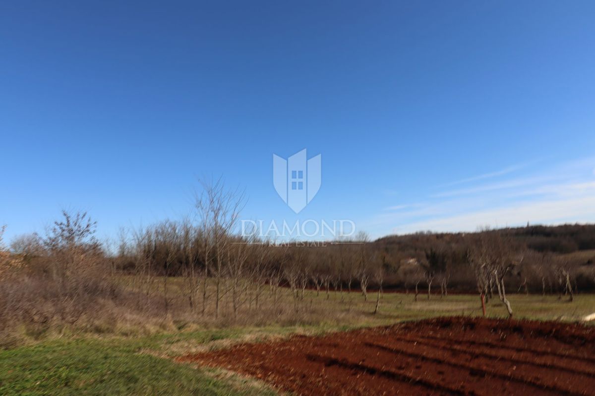 Poreč, dintorni, terreno con vista aperta immerso nella natura