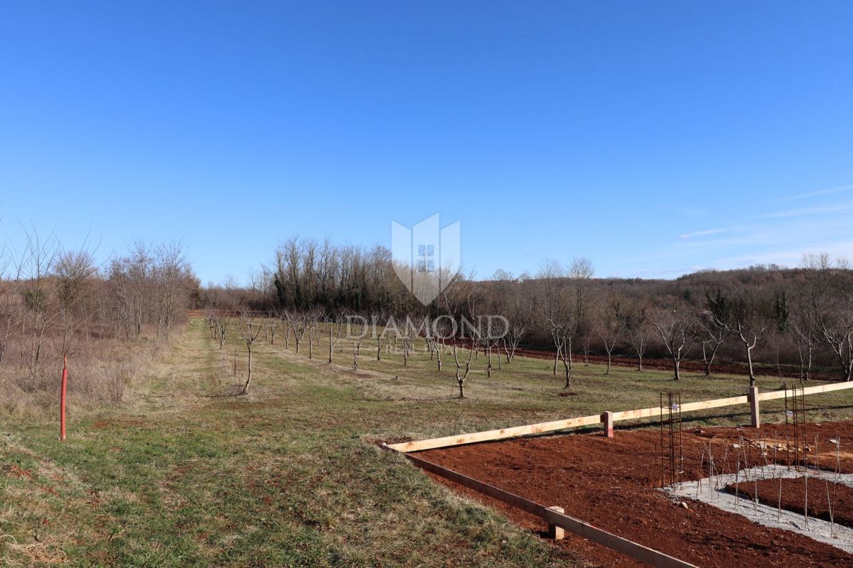 Poreč, dintorni, terreno con vista aperta immerso nella natura