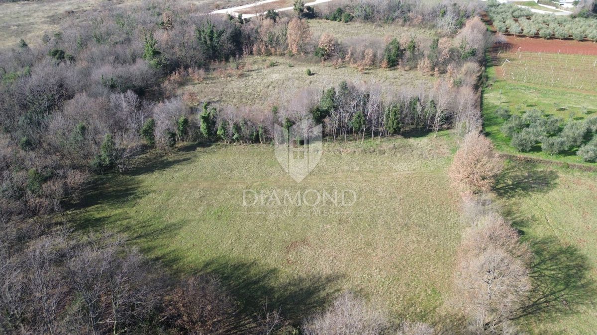 Terreno complesso vicino al mare