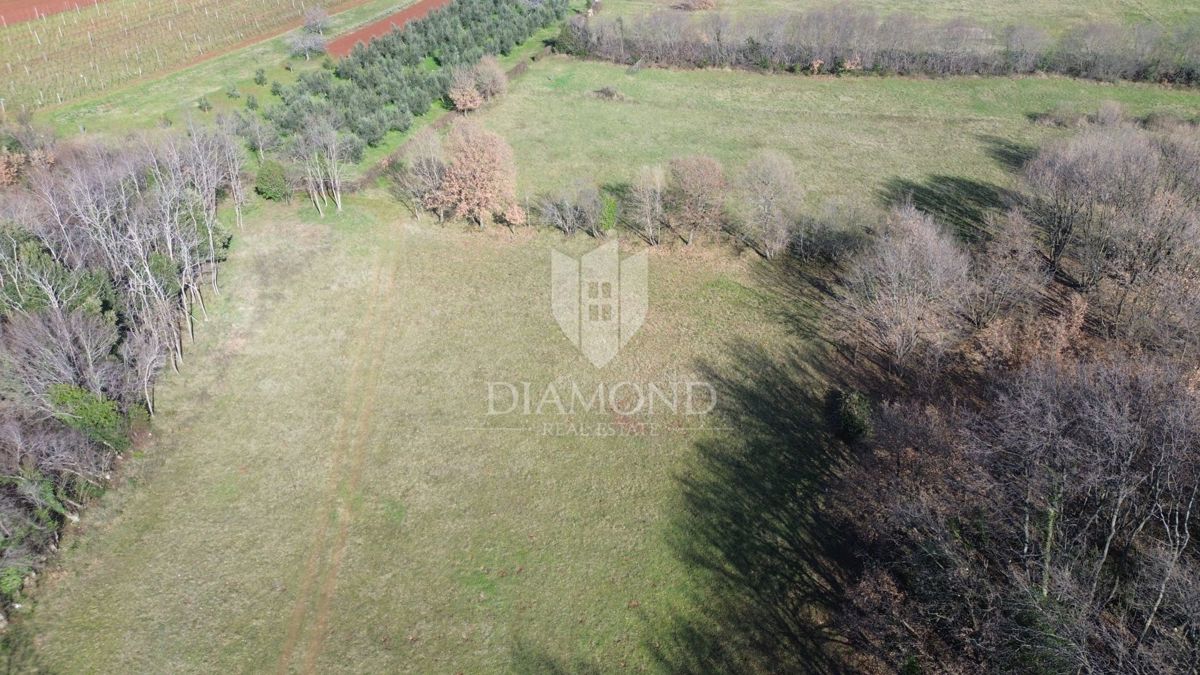 Terreno complesso vicino al mare