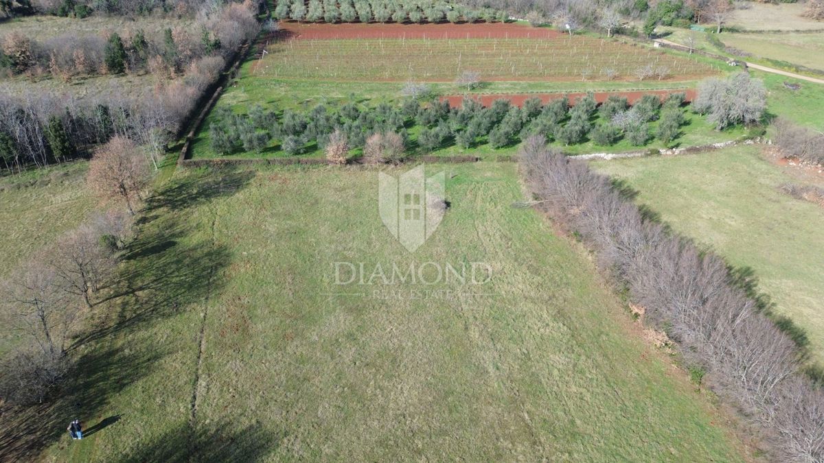 Terreno complesso vicino al mare