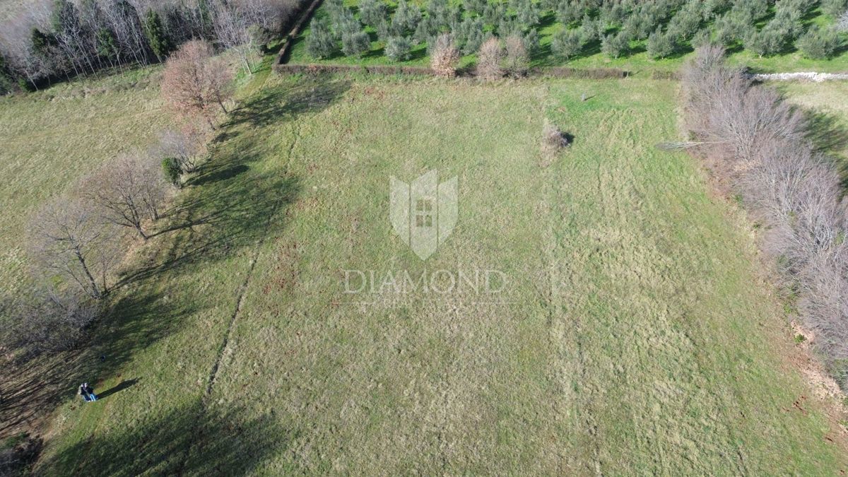 Terreno complesso vicino al mare