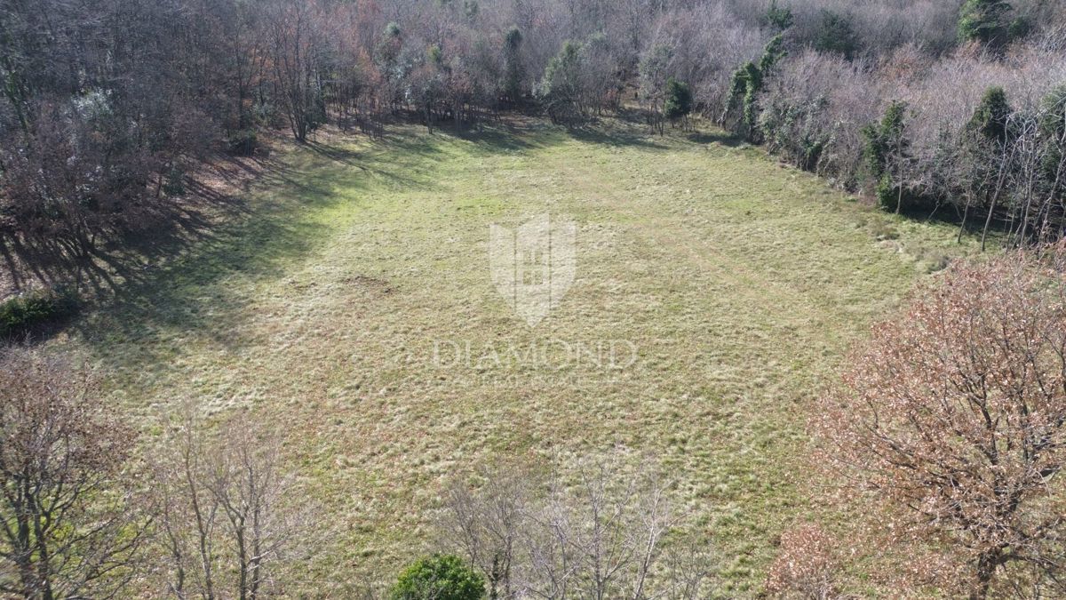 Terreno complesso vicino al mare