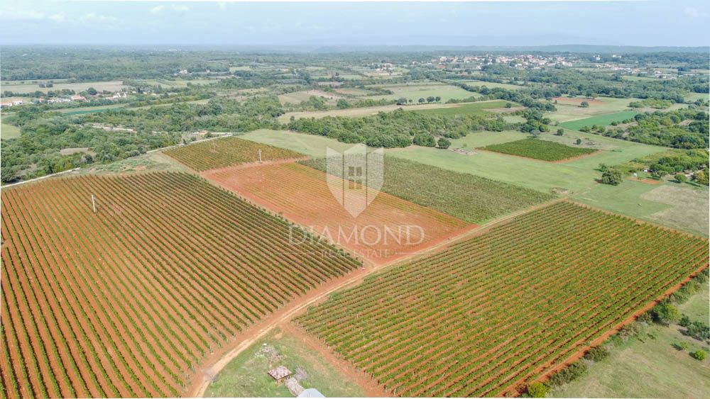 Marčana, spazioso terreno edificabile! 