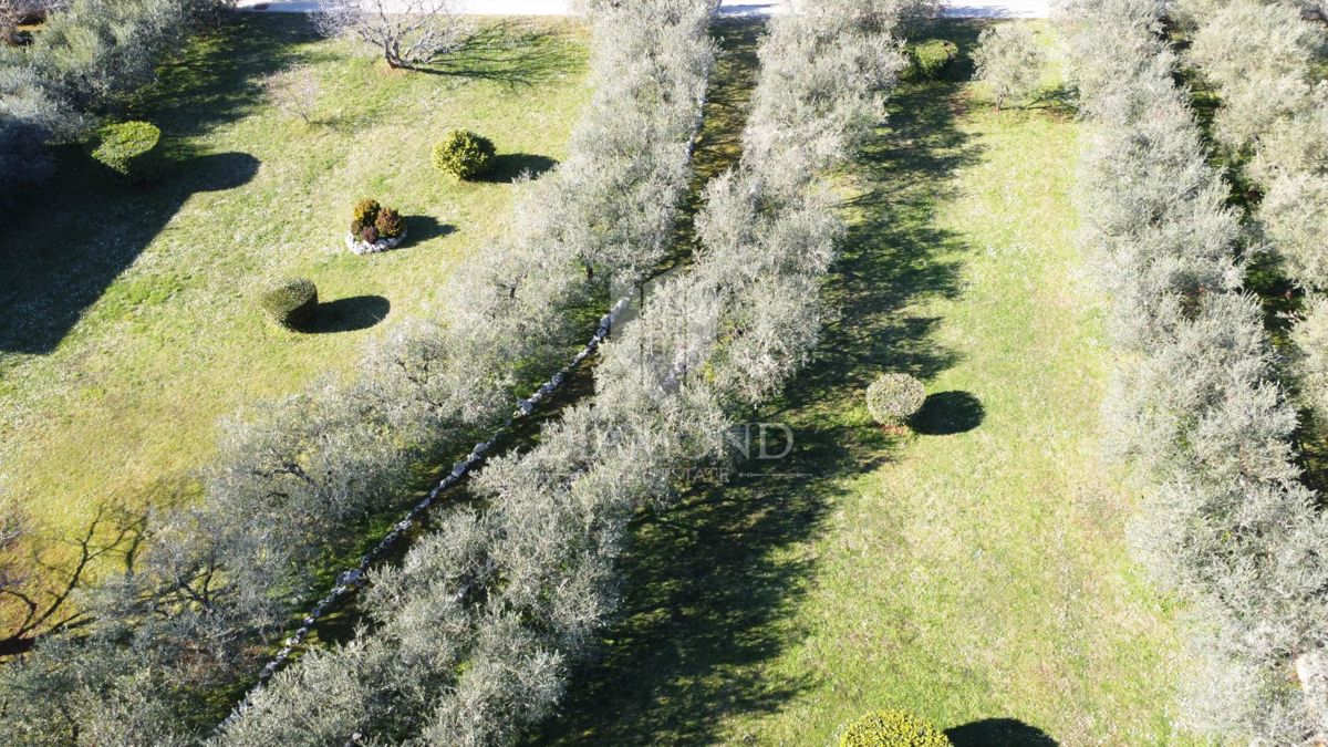 Parenzo – Dintorni – Splendido Terreno Edificabile con Uliveto