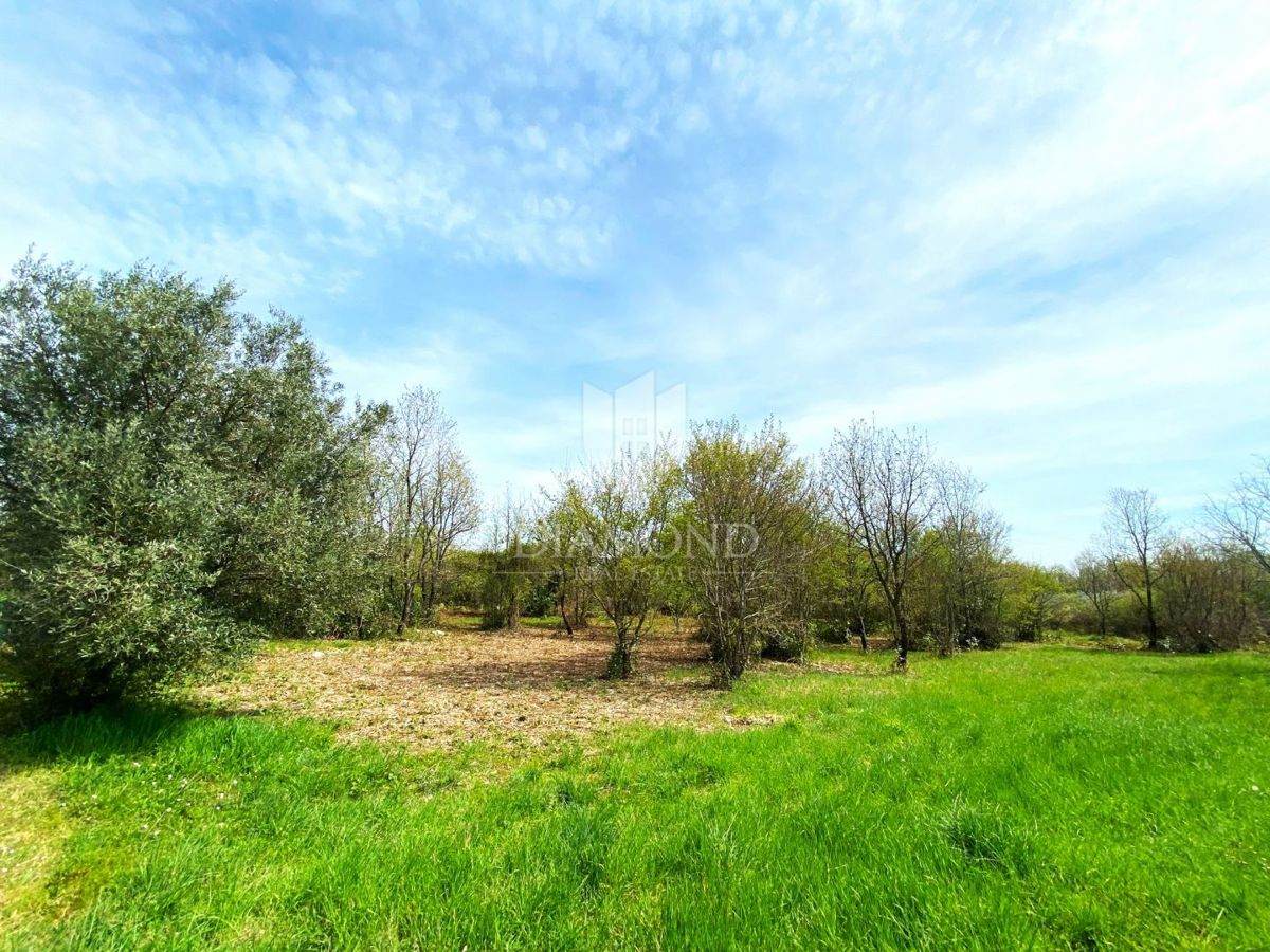 Terreno Poreč, 2.200m2