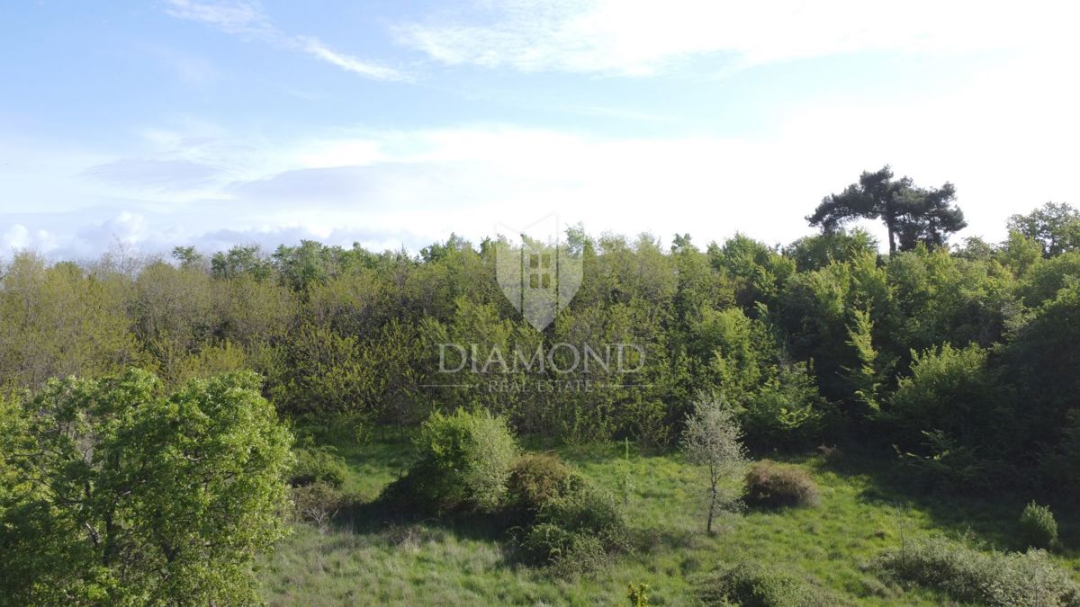 Parenzo – Dintorni – Terreno con Splendida Vista Mare