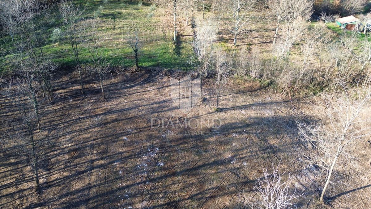 Terreno edificabile con progetto e permesso