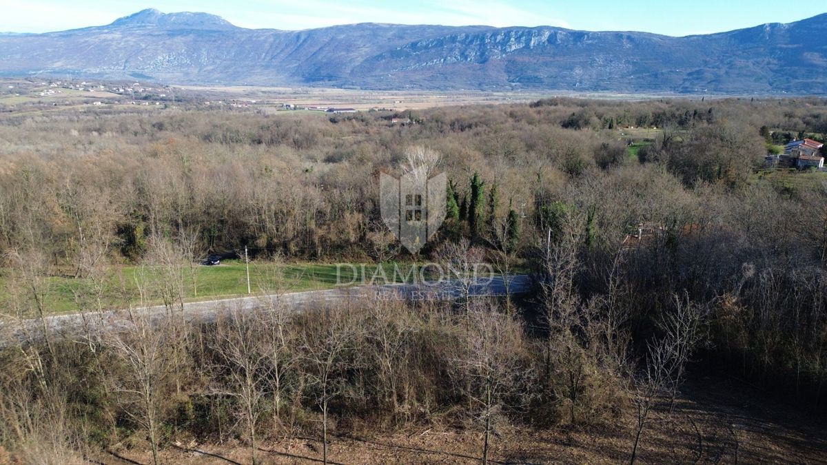 Terreno edificabile con progetto e permesso