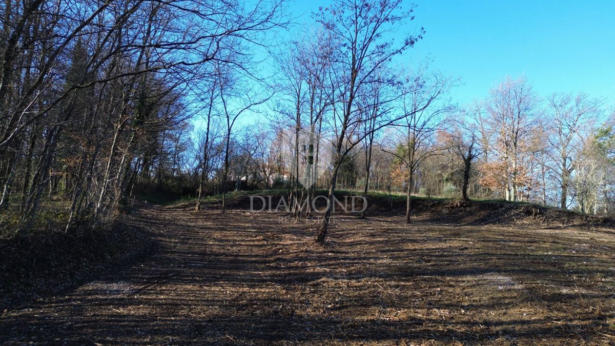 Terreno edificabile con progetto e permesso