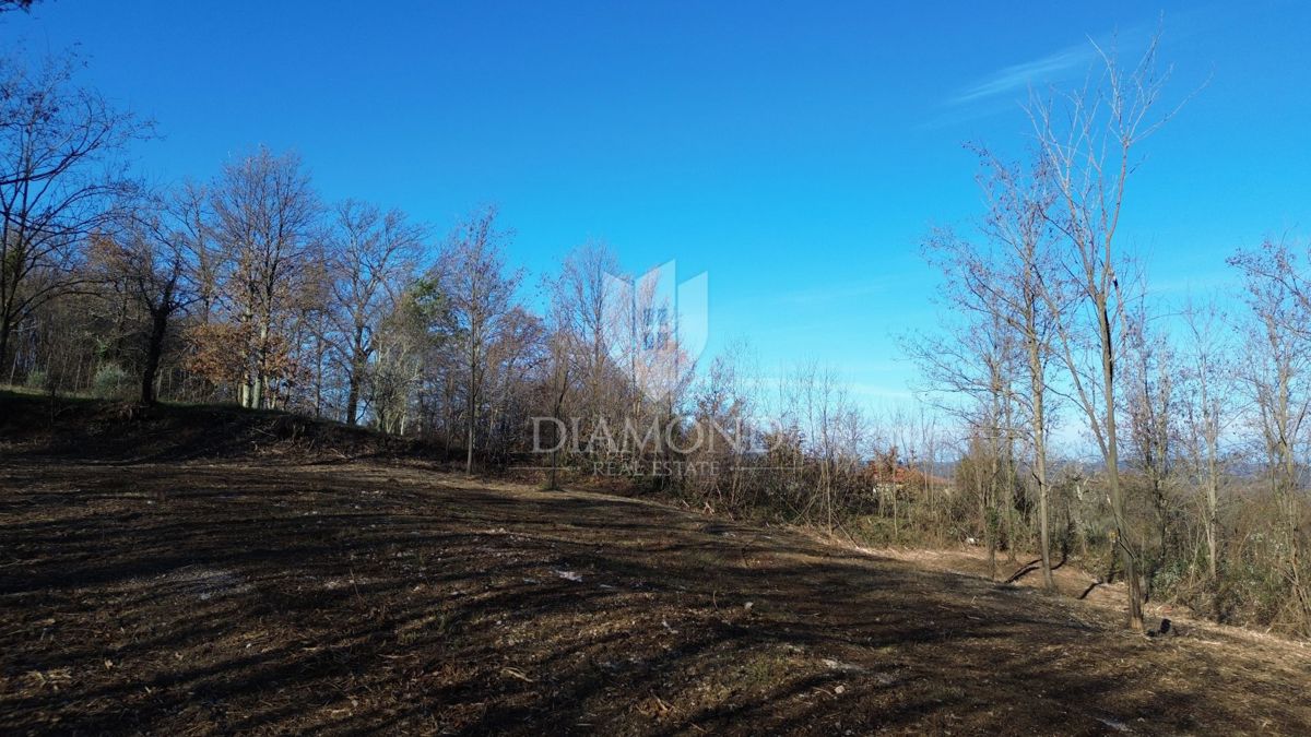 Terreno edificabile con progetto e permesso