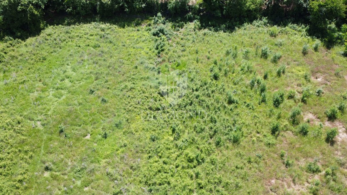 Poreč - Dintorni - Ottimo terreno edificabile di 906 m² con progetto e permesso