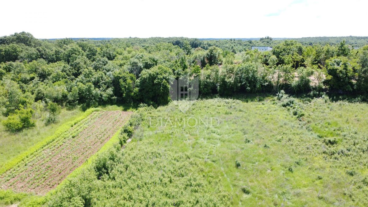 Poreč - Dintorni - Ottimo terreno edificabile di 906 m² con progetto e permesso