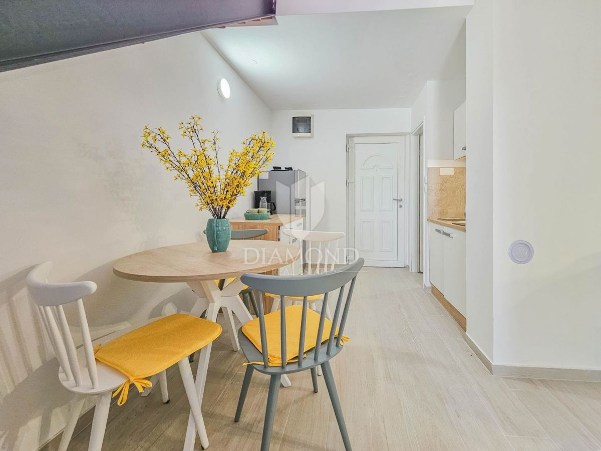 Appartamento Novigrad, 39m2