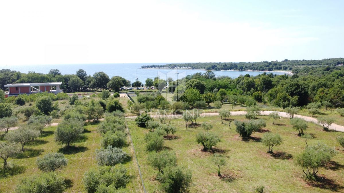 Parenzo, villa di lusso a 300 metri dalla spiaggia!