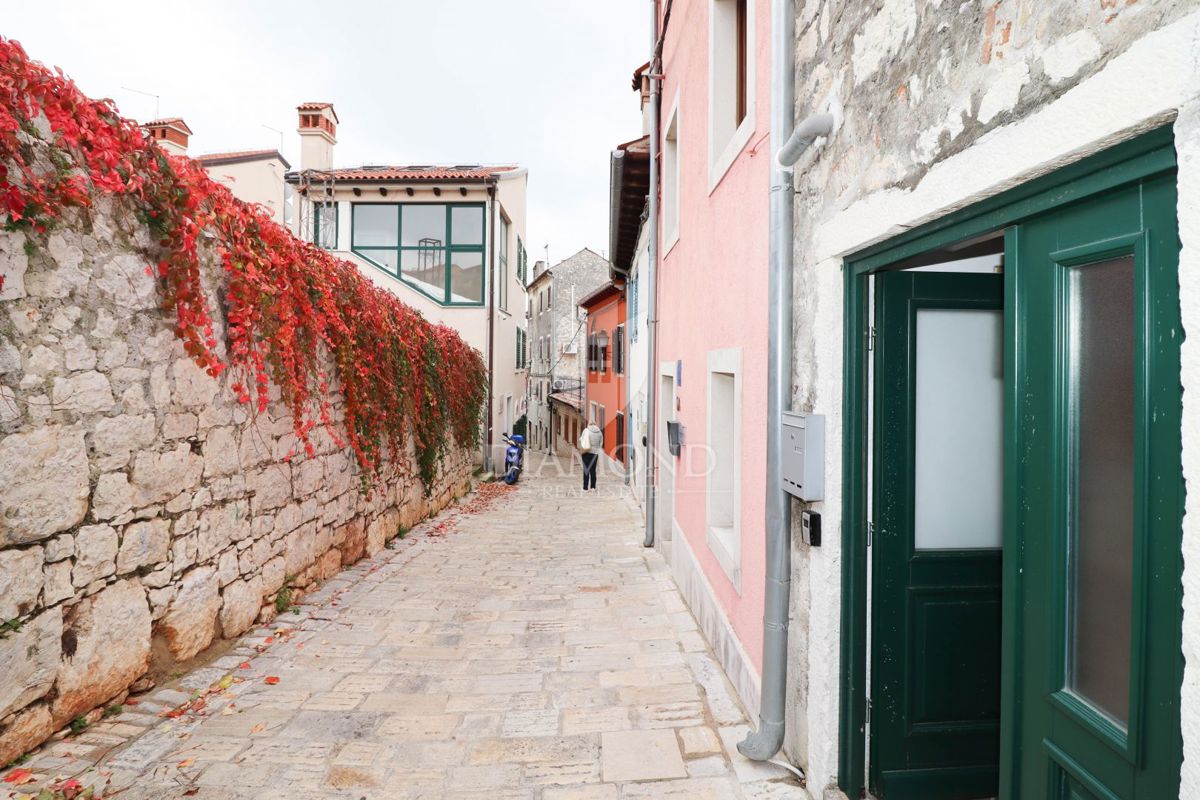 Rovigno, centro! Bellissima casa con terrazza!