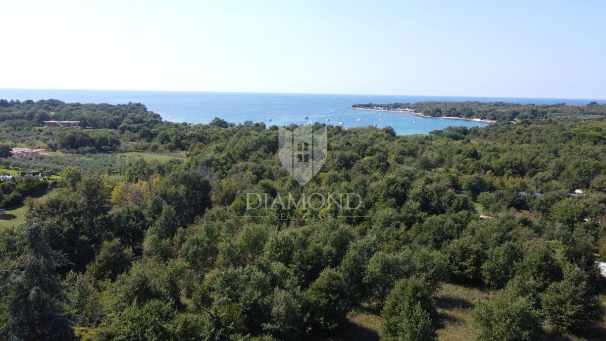 Parenzo – terreno esclusivo 1.265 m², a 500 m dal mare