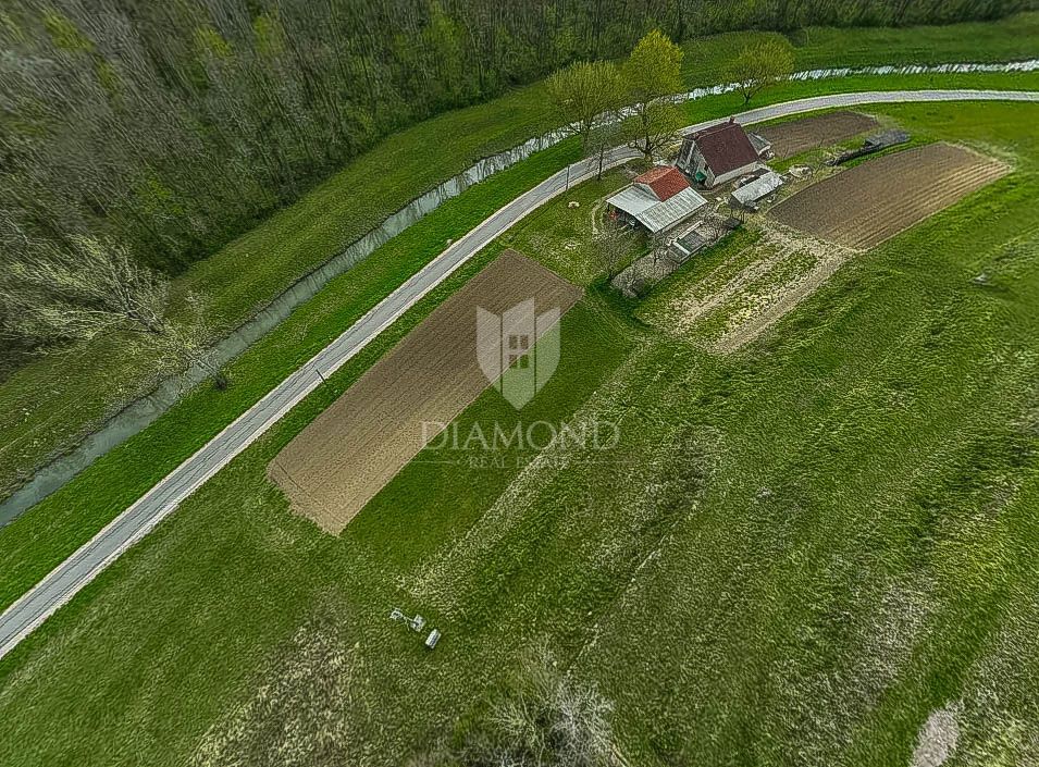 OCCASIONE! Montona, nelle vicinanze, bellissimo terreno di 2.277 m2 vicino al ruscello