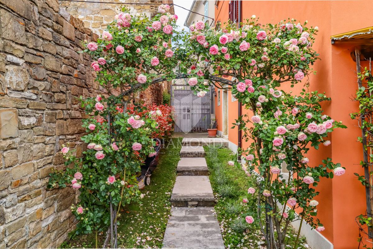 Bella casa con una vista indimenticabile! 