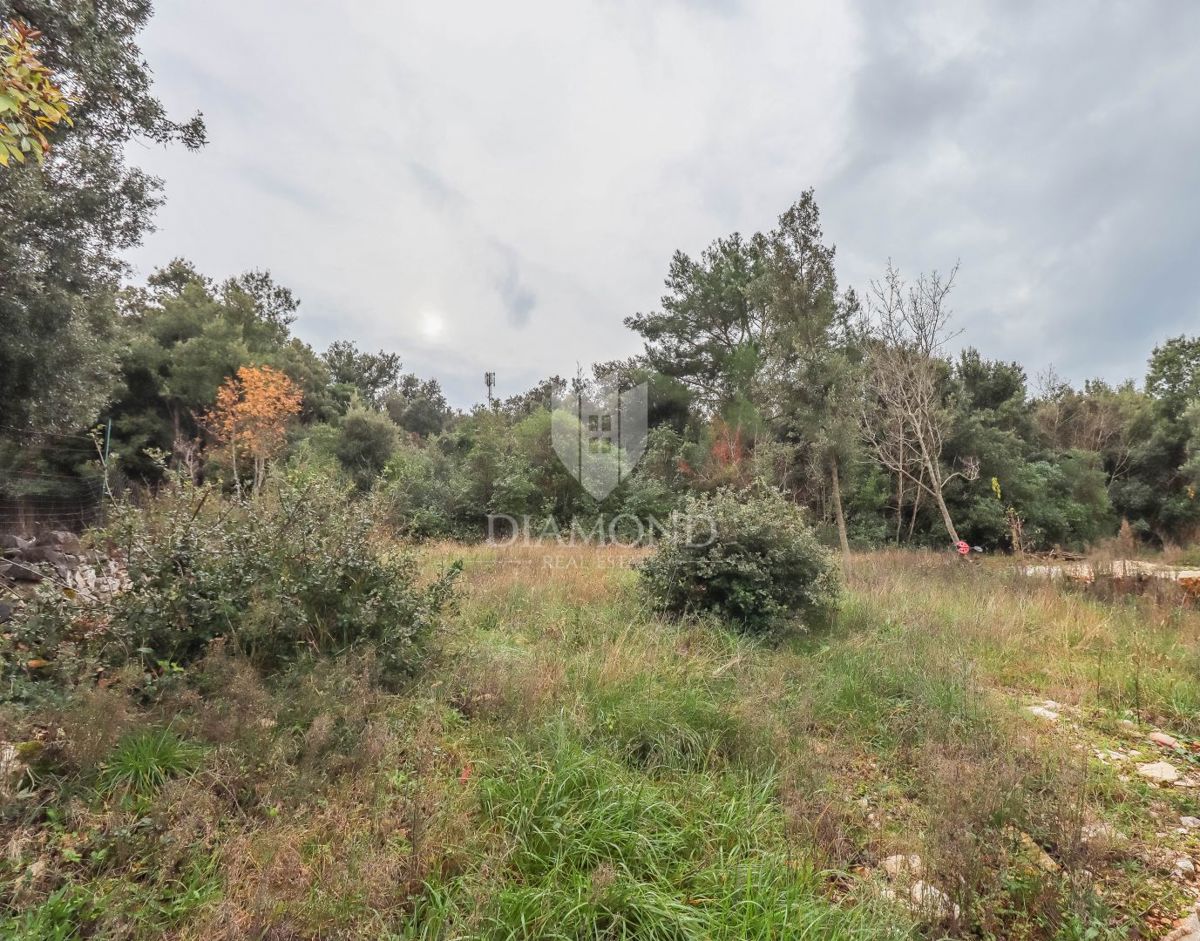 Rovigno! Terreno agricolo vicino al mare!