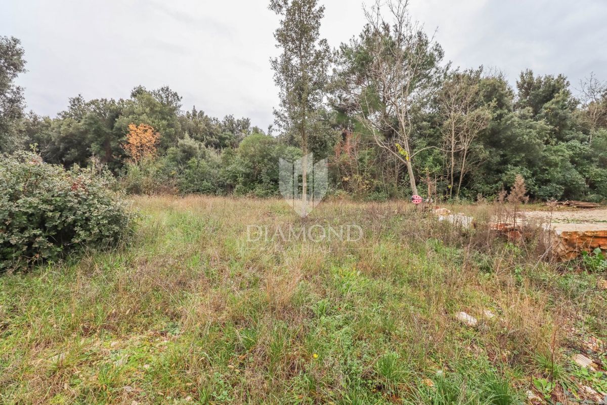 Rovigno! Terreno agricolo vicino al mare!