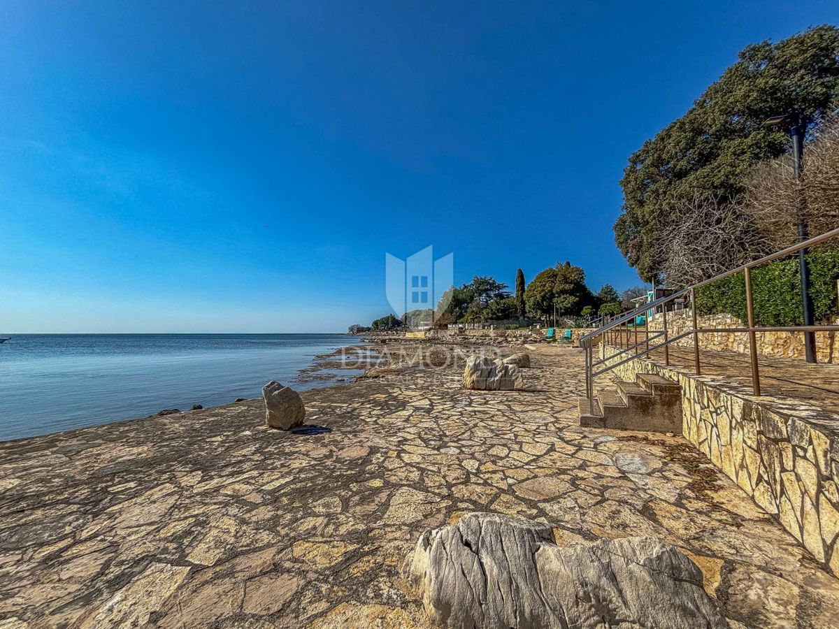 In esclusiva! Cittanova, appartamento al piano terra a 100 metri dalla spiaggia!