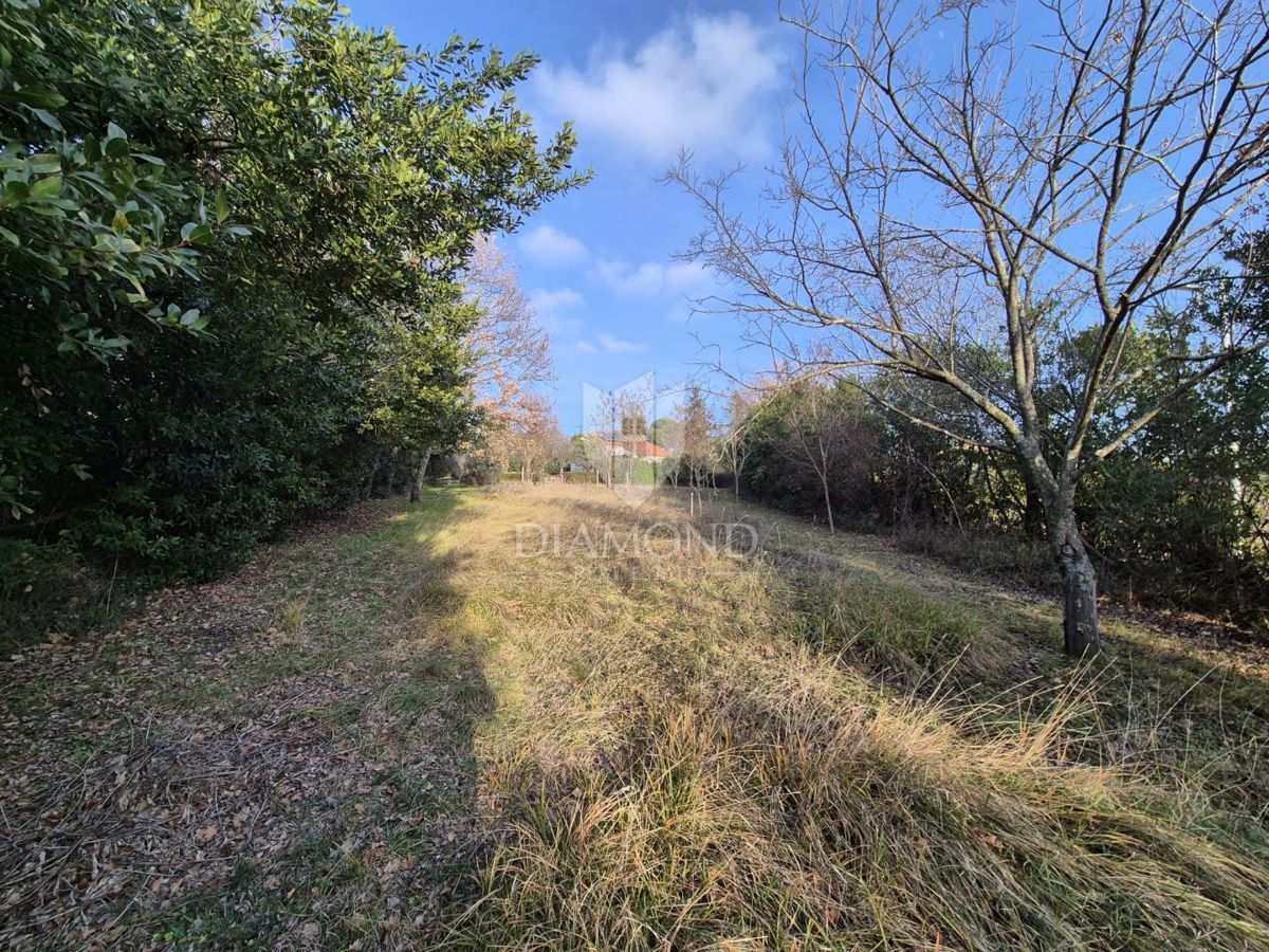 Parenzo, dintorni, terreno edificabile in posizione d'élite