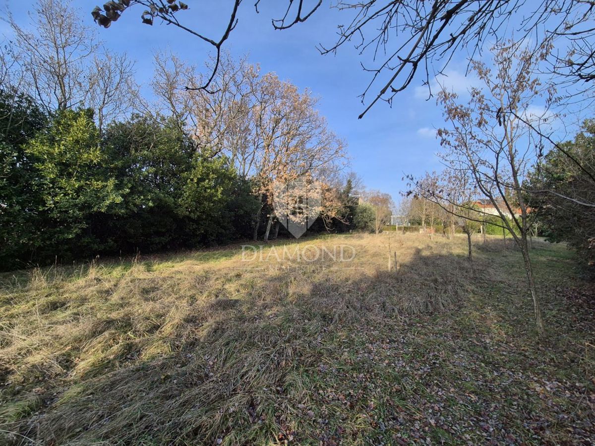 Parenzo, dintorni, terreno edificabile in posizione d'élite