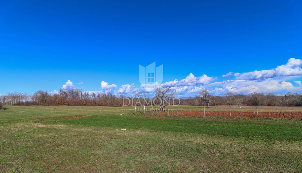 Žminj, dintorni, casa di design con piscina