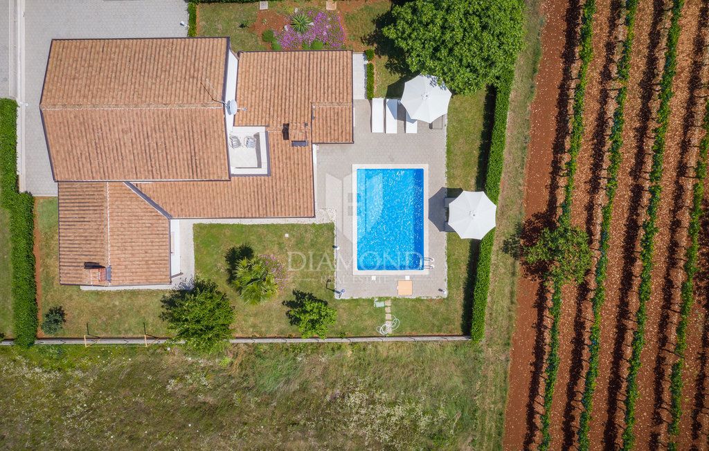 Parenzo, dintorni, villa con piscina immersa nel verde