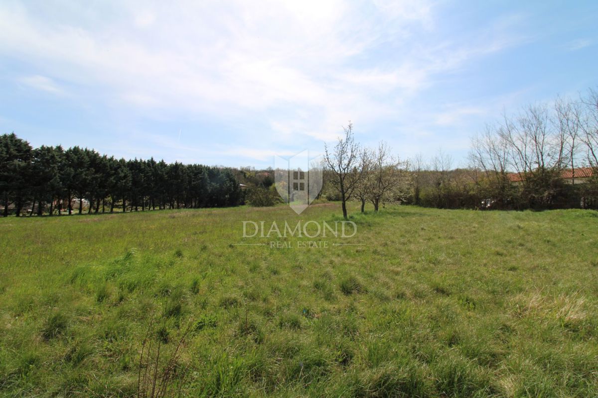 Labin, terreno edificabile a 2,5 km dal centro città