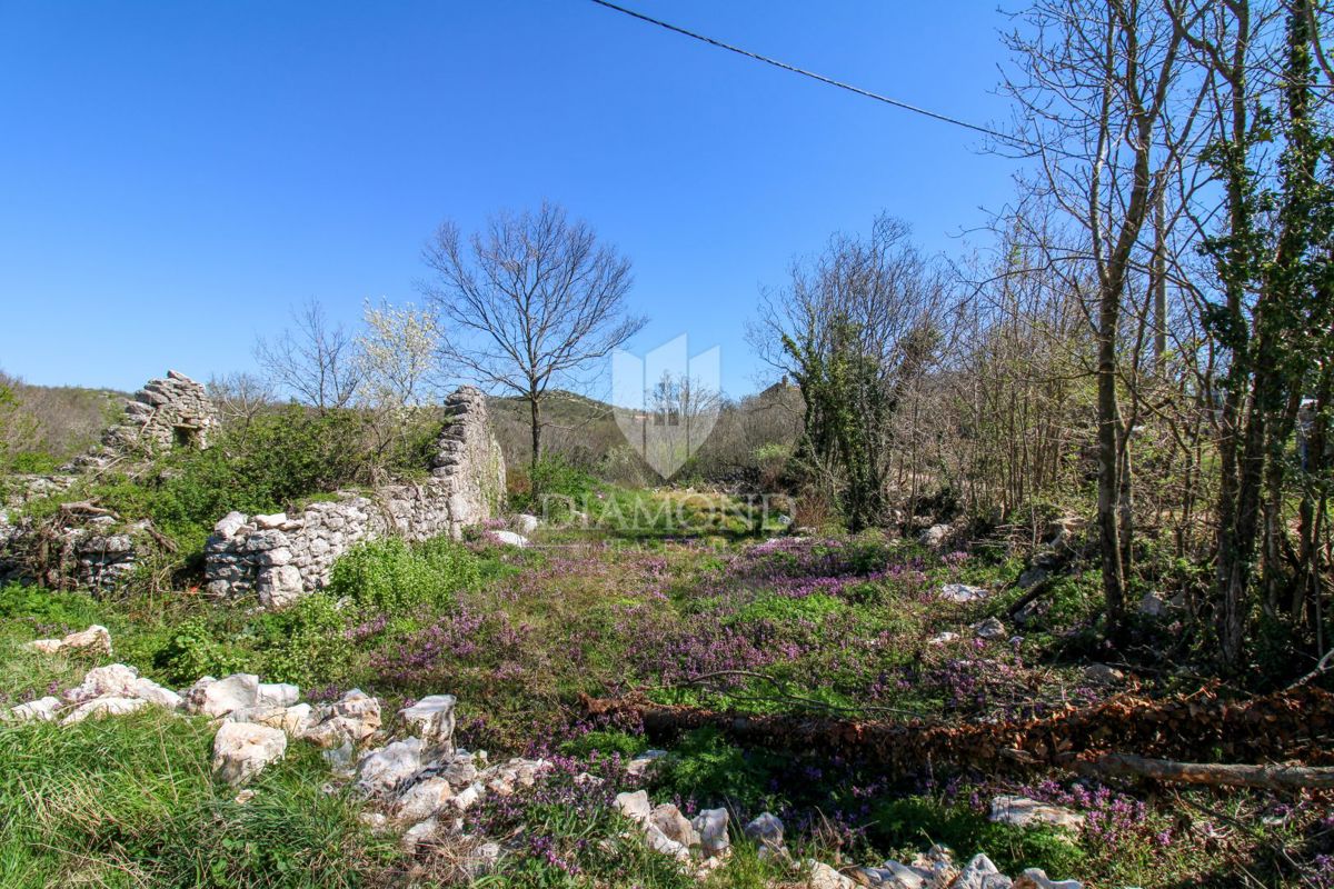 Istria, casa autoctona completamente ristrutturata