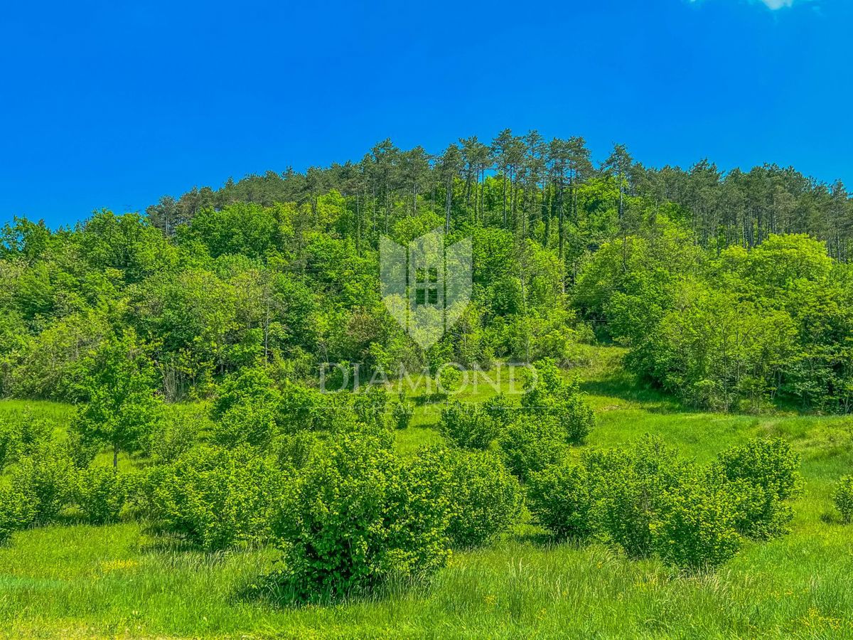 Dintorni di Oprtalj, ampio terreno edificabile con vista su Montona