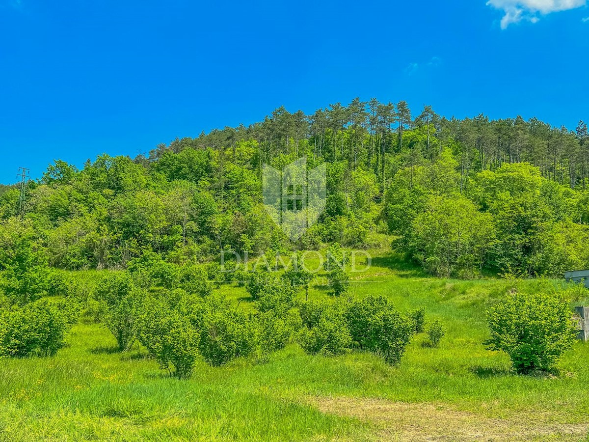 Dintorni di Oprtalj, ampio terreno edificabile con vista su Montona