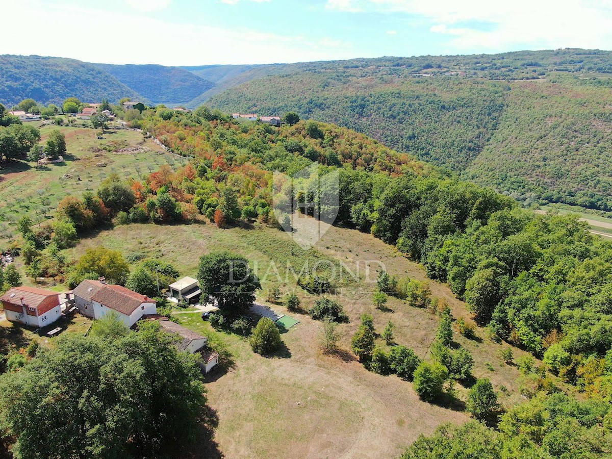 Labin, dintorni, casa con piscina e ampio giardino