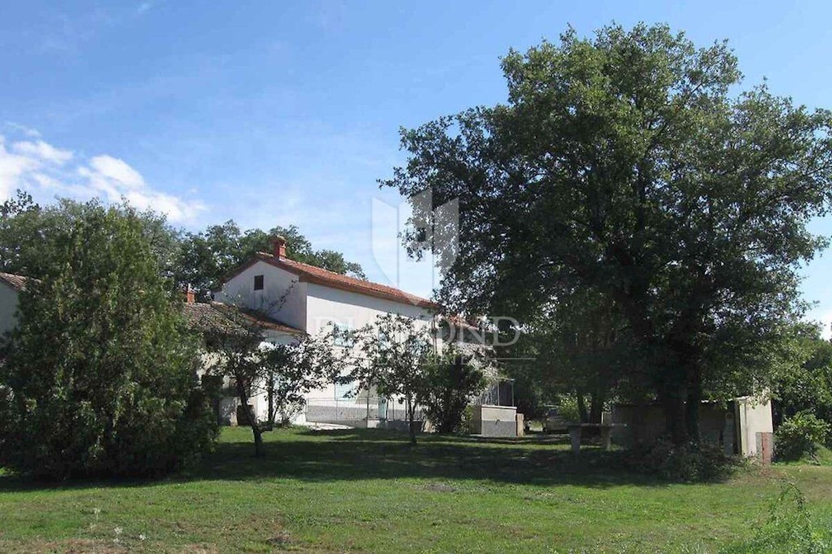 Labin, dintorni, casa con piscina e ampio giardino