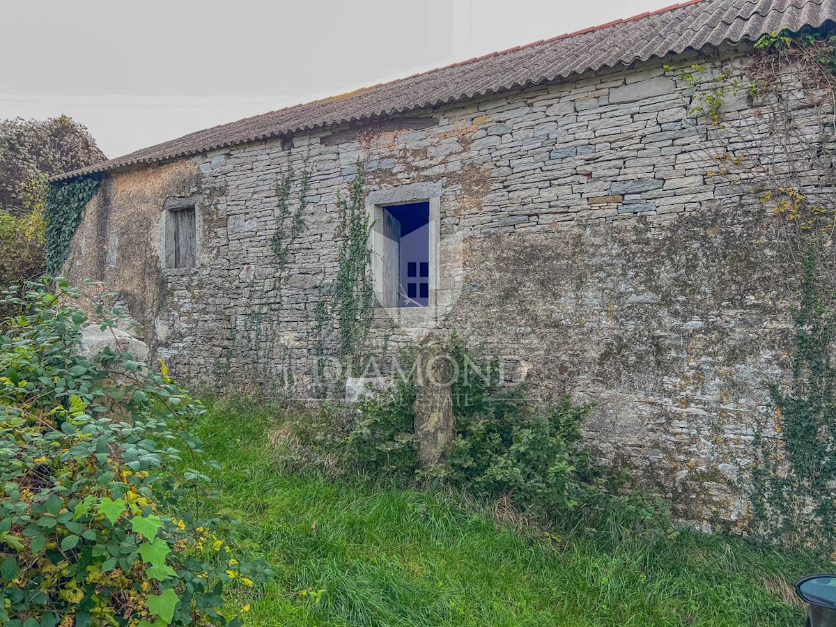 Dintorni di Oprtalj, casa in pietra con un ampio terreno in una posizione tranquilla