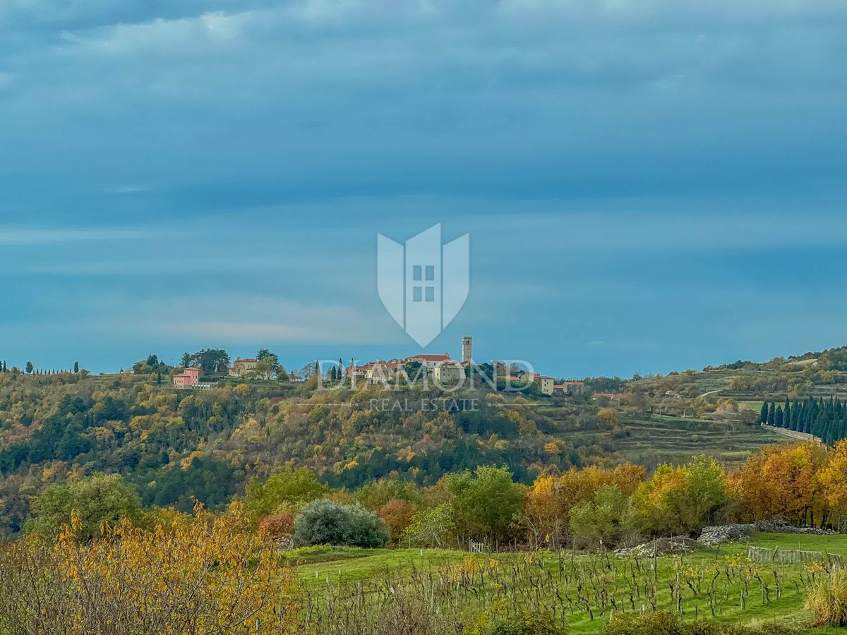 Dintorni di Oprtalj, casa in pietra con un ampio terreno in una posizione tranquilla