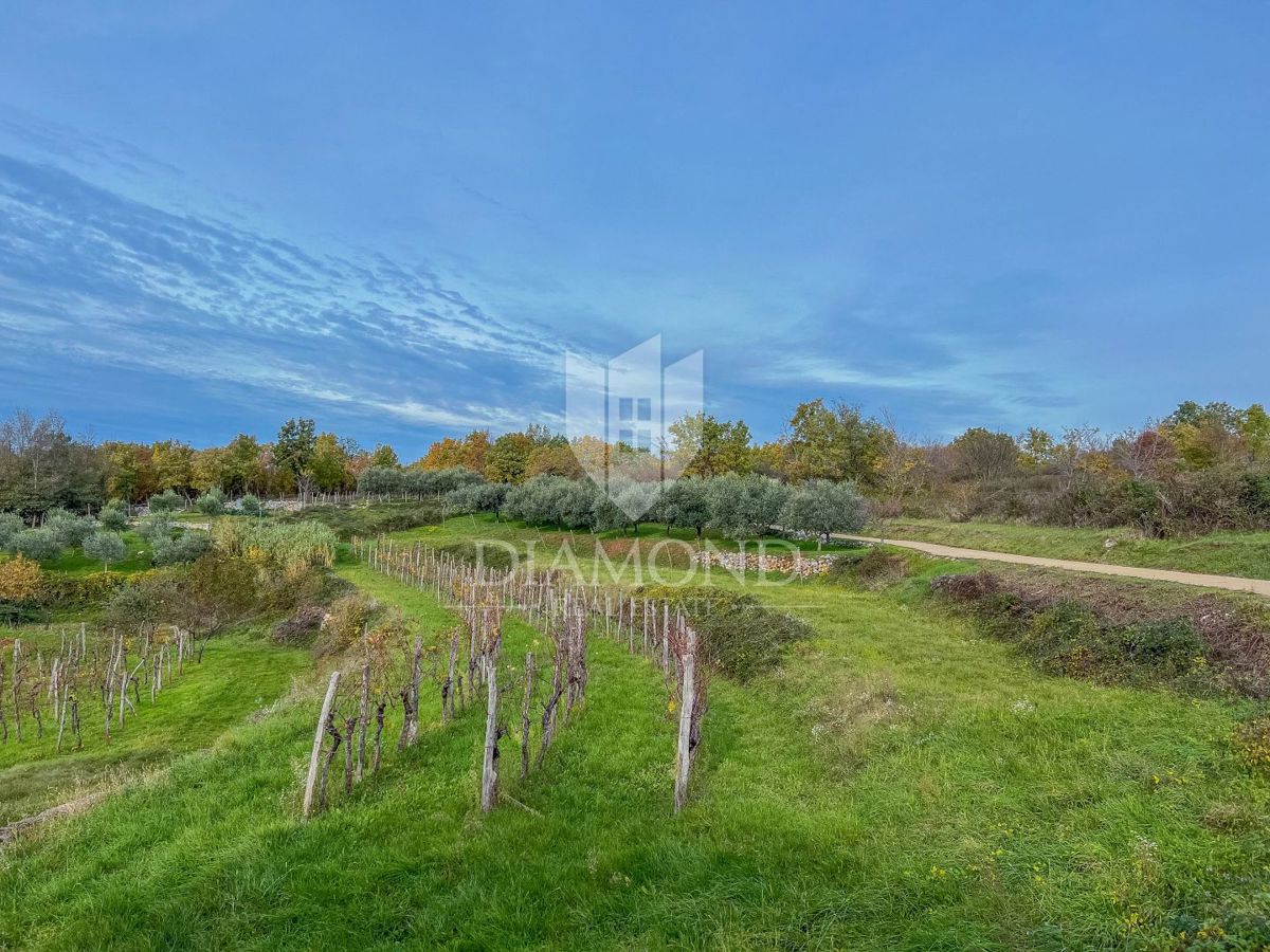 Dintorni di Oprtalj, casa in pietra con un ampio terreno in una posizione tranquilla