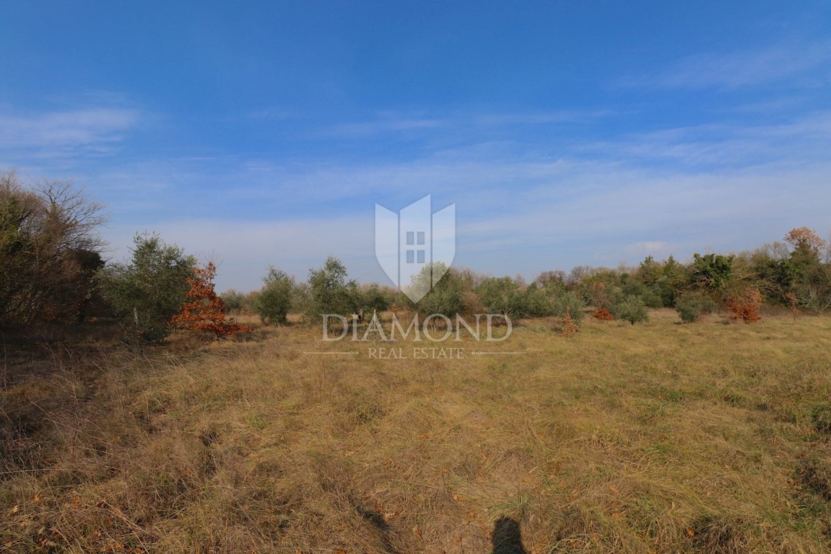 Terreno Barban, 1.000m2