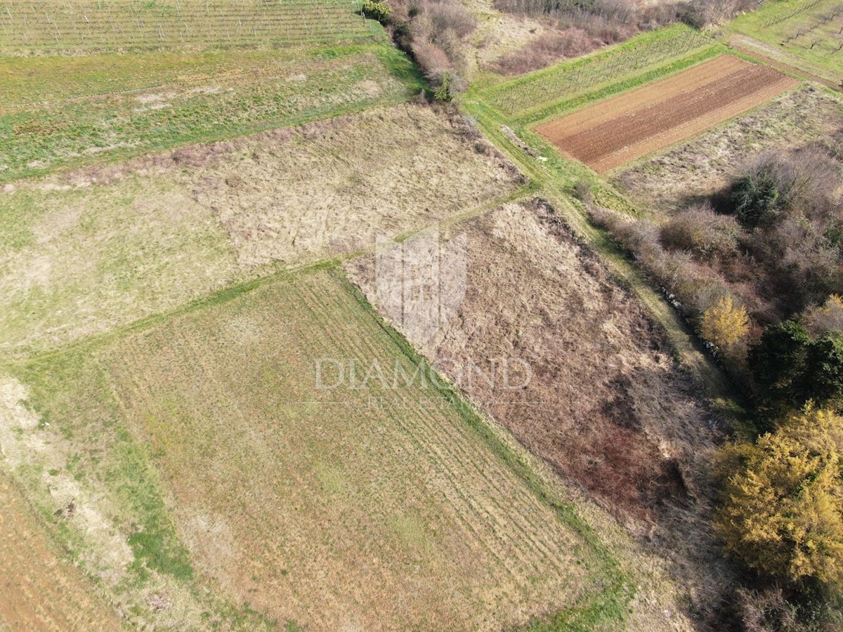 Pisino, dintorni, terreno edificabile in un insediamento tranquillo