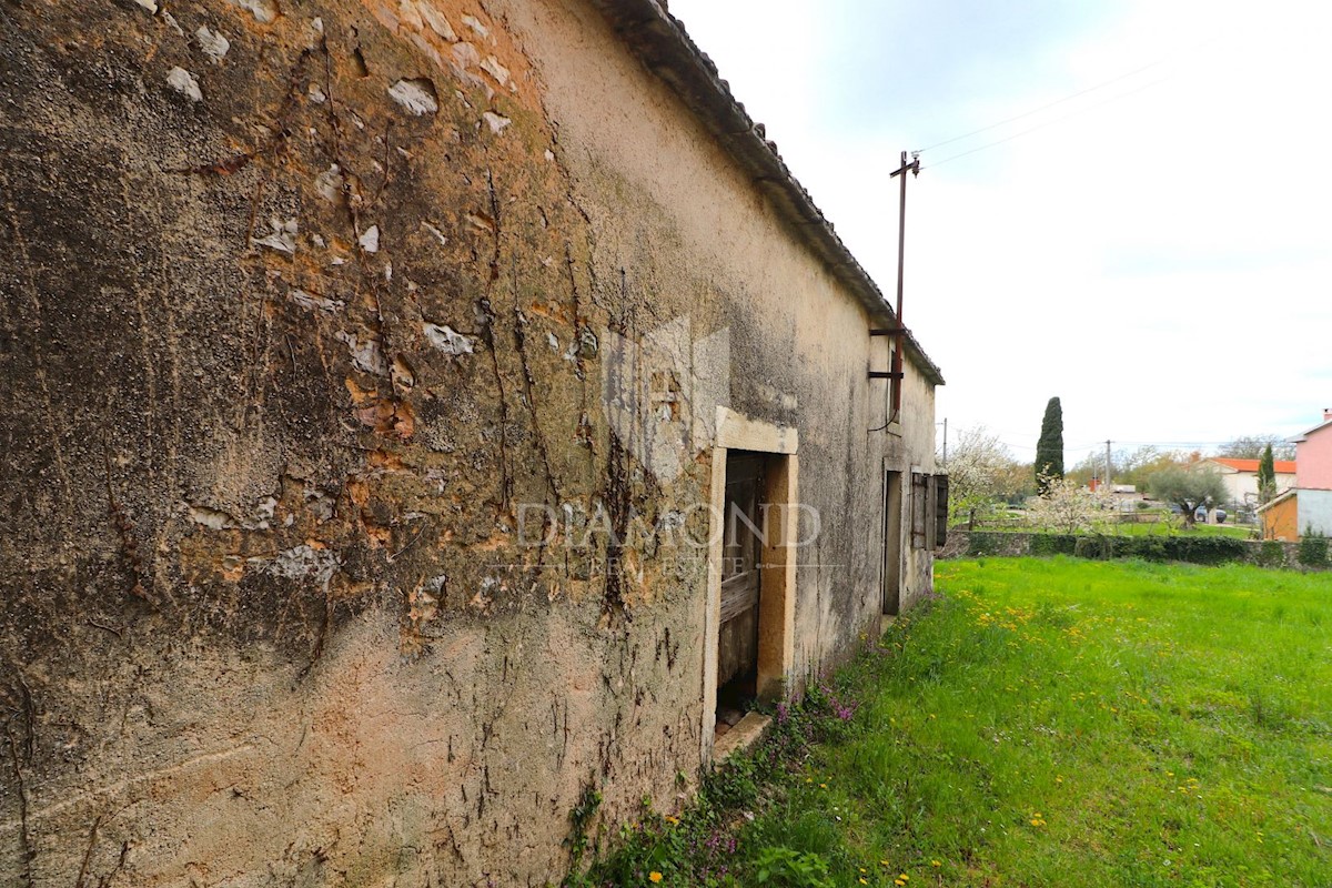 Žminj, casa in pietra da ristrutturare con ampio giardino