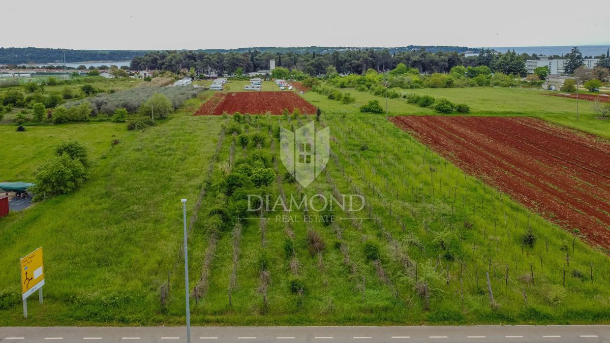 Cittanova, ampio terreno per investimento