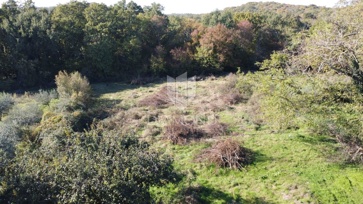 Zona di Parenzo, terreno edificabile ai margini del villaggio!