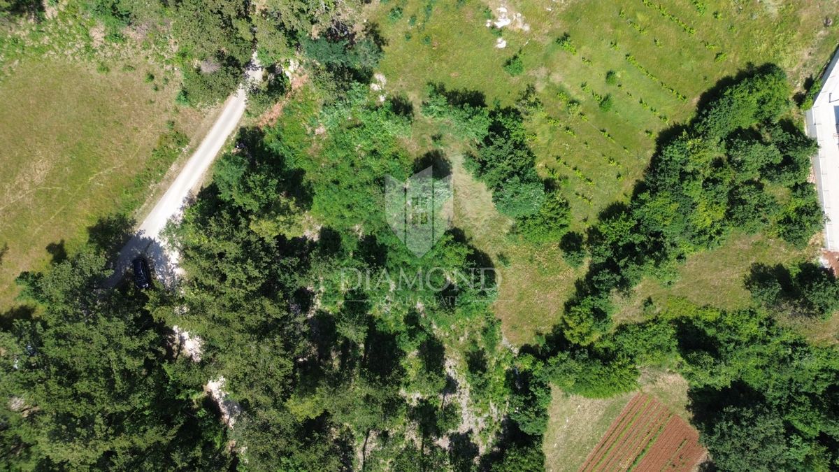 Labin, dintorni, ampio terreno edificabile