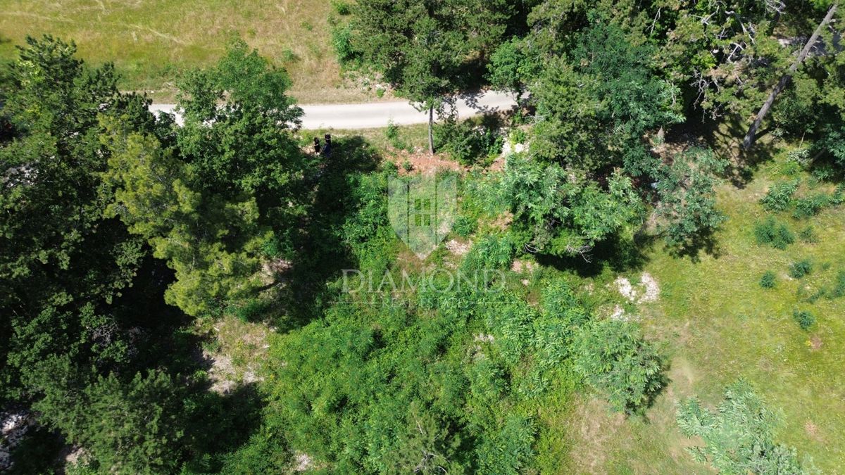 Labin, dintorni, ampio terreno edificabile