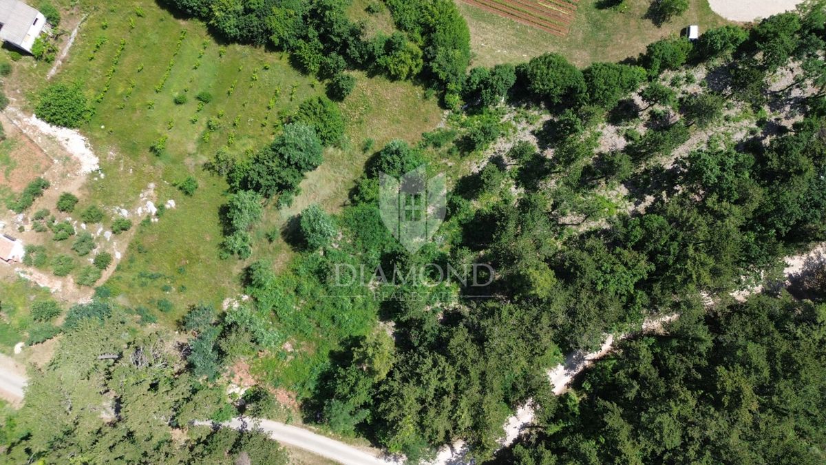 Labin, dintorni, ampio terreno edificabile